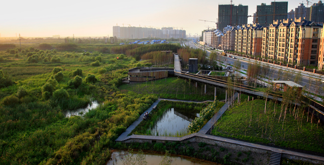 A Green Sponge for a Water-Resilient City: Qunli Stormwater Park