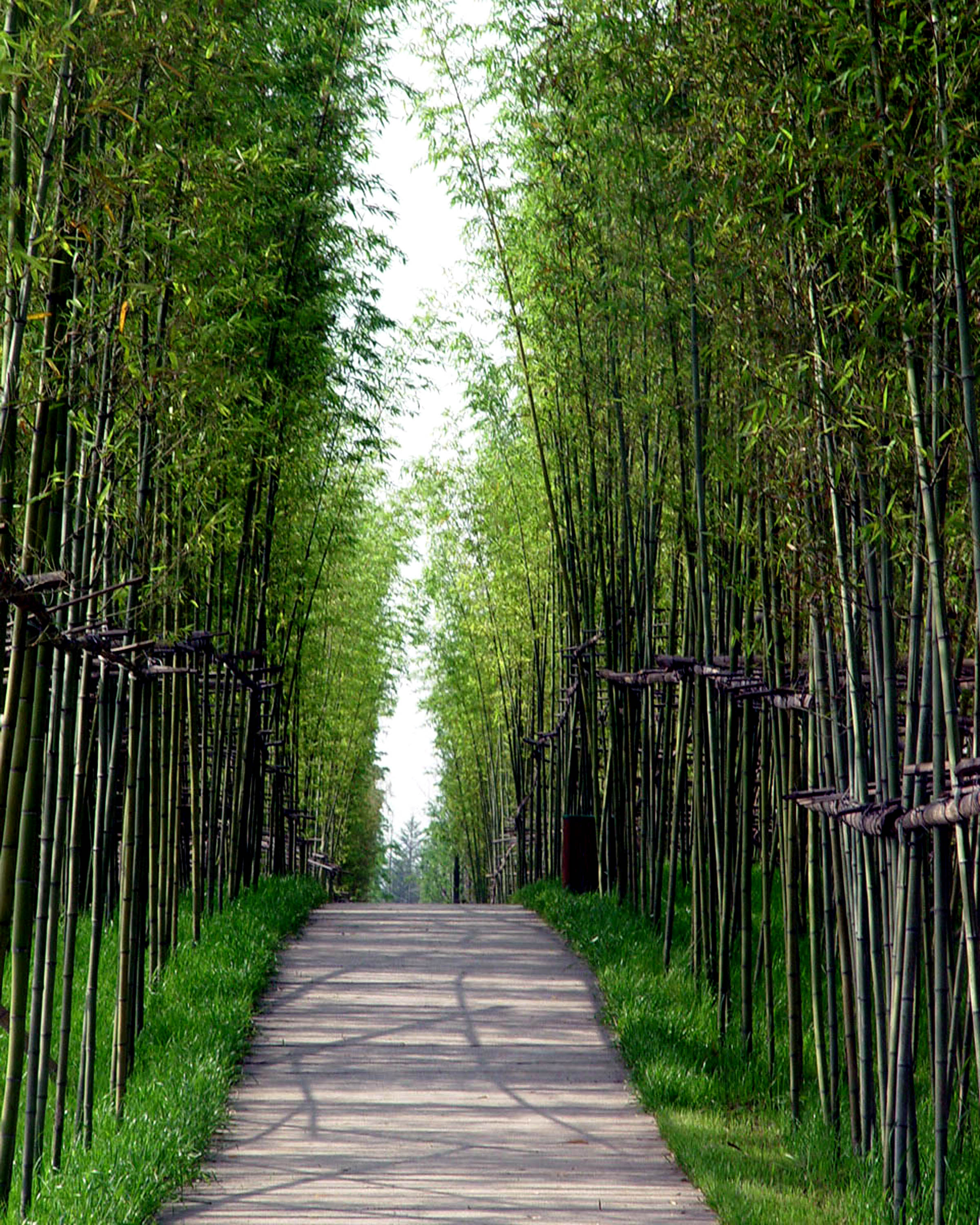 The Floating Gardens — Yongning River Park, Taizhou City, Zhejiang