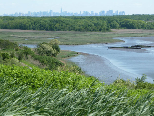 fraser_freshkills park fraser_freshkills park