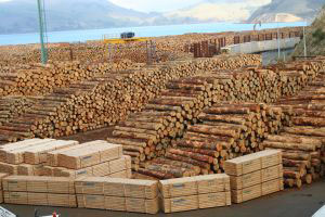 logging logging