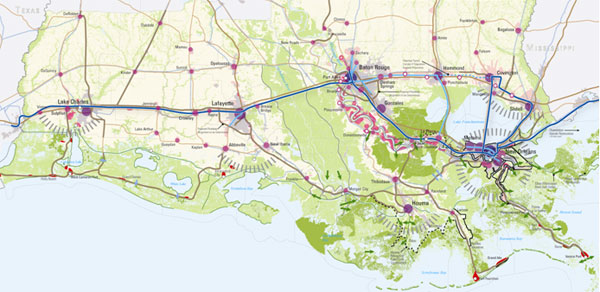 speck image 1 speck image 1