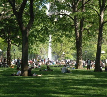 washington square park washington square park