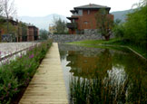081-04.jpg