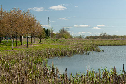 GVSU Recreation Fields