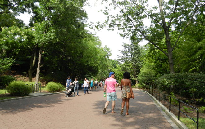 zoo3