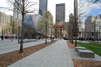 Bartlett - Trees at 911 Memorial Bartlett - Trees at 911 Memorial