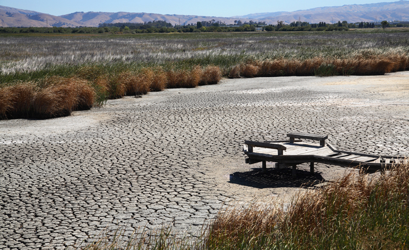 Climate change_pagetop Climate change_pagetop