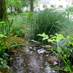 Improving Water Efficiency Improving Water Efficiency