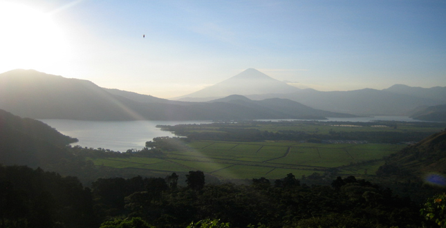 Potential Applications of the Vetiver System in the Lake Amatitlan Watershed, Guatemala