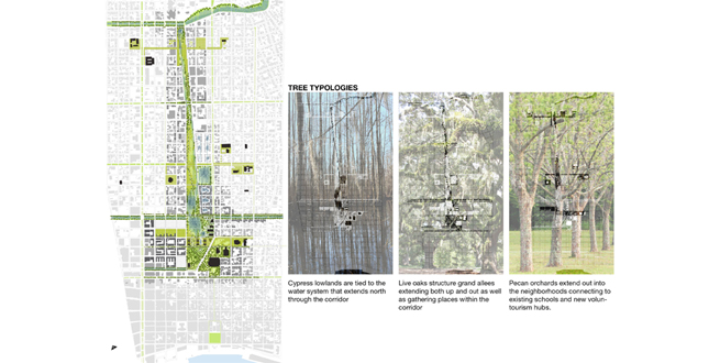 Big Old Tree: New Big Easy, using the New Orleans' Native Trees to Structure a New Plan for Iberville and the Lafitte Corridor