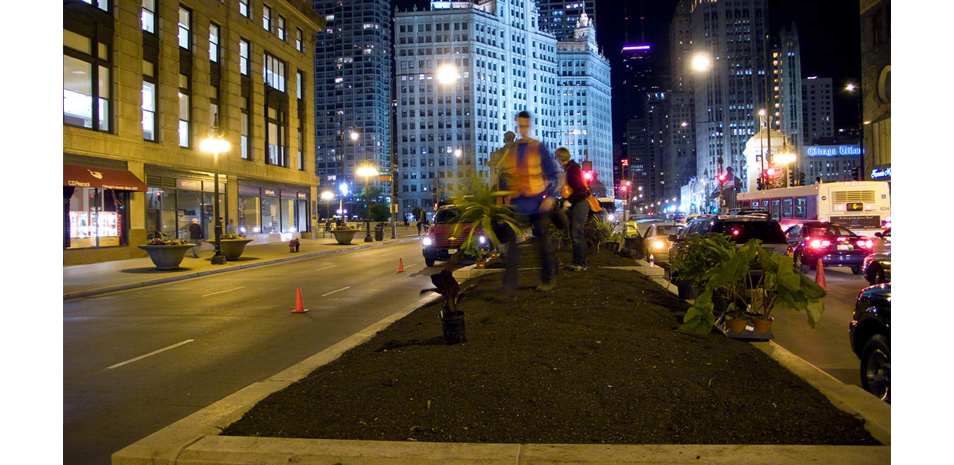 Michigan Avenue Streetscape: 20 Years of Magnificent Mile Blooms