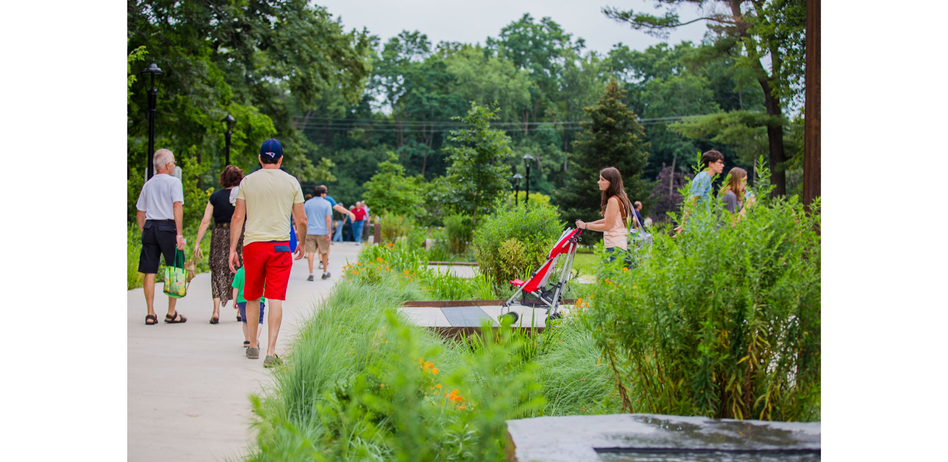 The bioswale is 150’ long and traversed by a series of accessible bridges and decks. The project received a grant to channel stormwater from Main Stre…