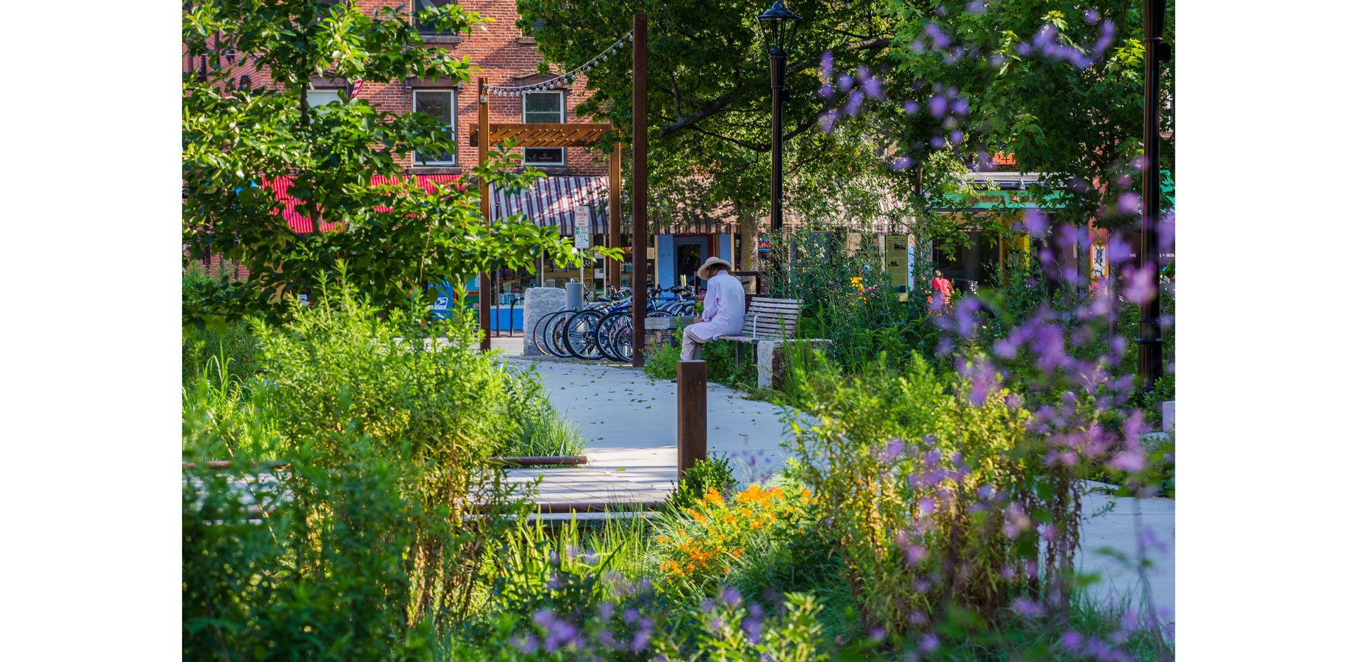 The bioswale is a garden that has increased opportunities for urban wildlife.
                            Flowering perennials like Aster, Butterfly Weed and Meadow Rue bring se…