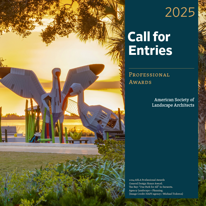 2025 Call for Entries - Professional Awards