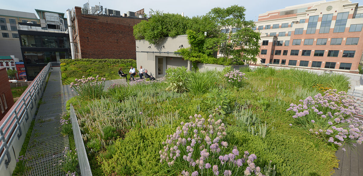 Birds-eye view of people on green roof