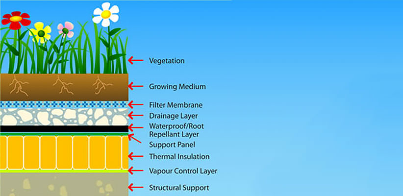 Cross-section illustration of a green roof with vegetation, growing medium, filter membrane, drainage layer, waterproof/root repellant layer, support panel, thermal insulation, vapor control layer, and structural support