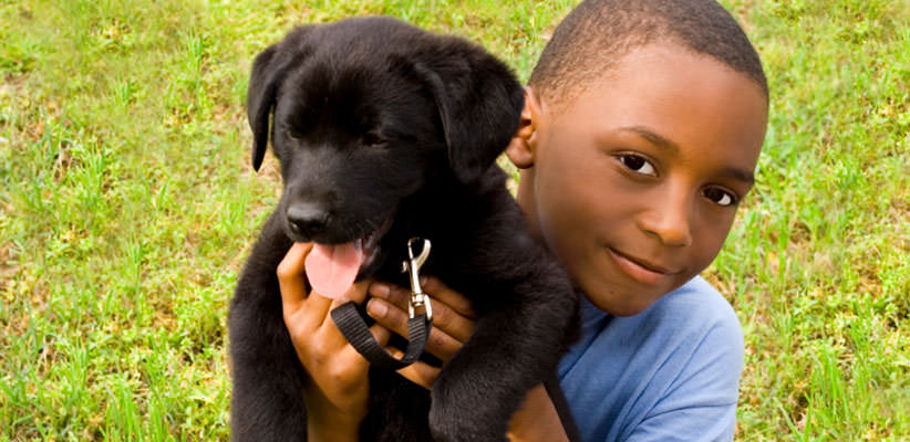 Child sitting on grass and holding up a puppy