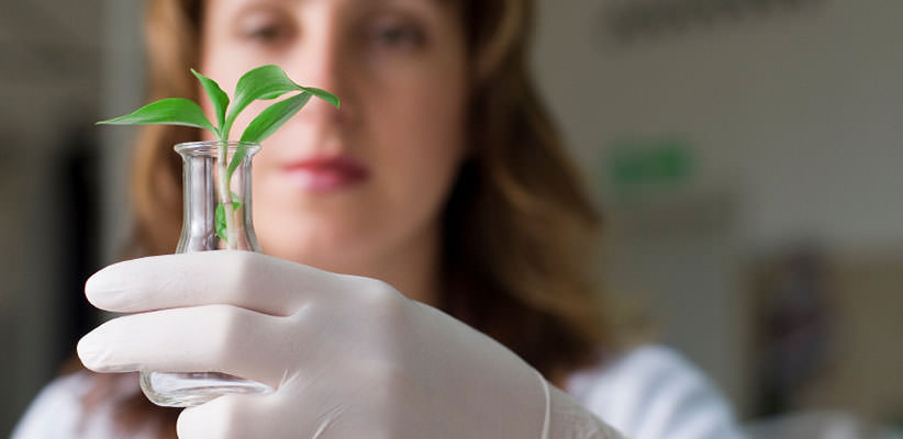 Female scientist holding up a small beaker with a plant growing out of it