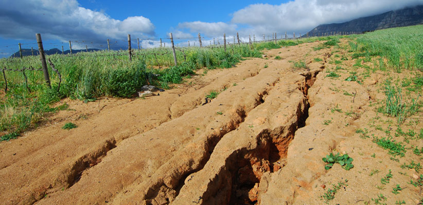 Tracks of eroded soil on the ground surrounded by green plants, with a mountain/hill visible in the background, and a fence to the right