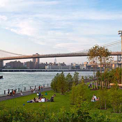 Brooklyn-Bridge-Park-Adult-General-Health.jpg