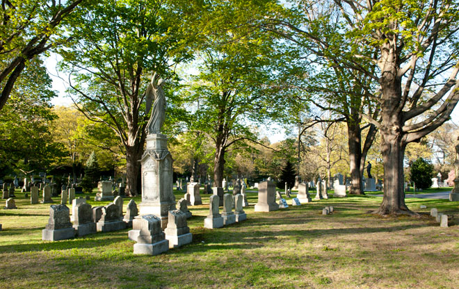 Forest Hills Cemetery The Landscape Architect S Guide To Boston   Forest1 